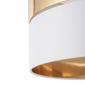 4771_HILTON_GOLD_D.jpg