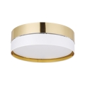 4772_HILTON_GOLD_A.jpg