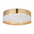 4772_HILTON_GOLD_A_1.jpg