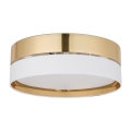 4772_HILTON_GOLD_L.jpg