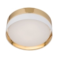 4772_HILTON_GOLD_P.jpg