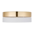 4772_HILTON_GOLD_W.jpg