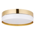 4773_HILTON_GOLD_A.jpg