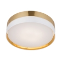 4773_HILTON_GOLD_P.jpg