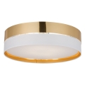 4773_HILTON_GOLD_W.jpg