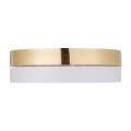 4773_HILTON_GOLD_W_1.jpg