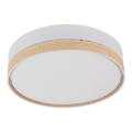 4764_PAGLIA_NEW_WHITE_P.jpg