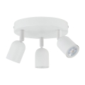 6316_TOP_WHITE_P.jpg