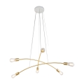5621_HELIX_GOLD_P.jpg