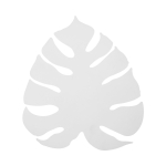 MONSTERA WHITE KINKIET 3 PŁ G_9