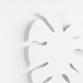 4667_MONSTERA_WHITE_D_1.jpg