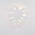 4667_MONSTERA_WHITE_O.jpg
