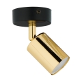 4517_HURON_GOLD_B.jpg