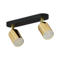 4519_HURON_GOLD_A.jpg