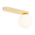 4698_BIANCA_GOLD_L.jpg