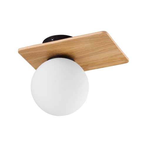 2021K17_38372.jpg