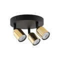 5618_TOP_GOLD_L.jpg