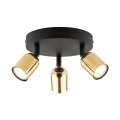 5618_TOP_GOLD_O.jpg