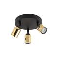 5618_TOP_GOLD_P.jpg