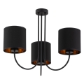 4594_TORRENS-BLACK_P.jpg