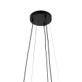 4602_HELIX_BLACK_GOLD_D.jpg