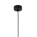 4572_OMEGA_D_1.jpg