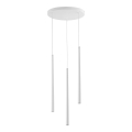 6427_PIANO_WHITE_A.jpg
