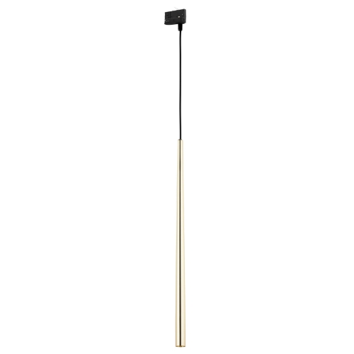 6029_TRACER_GOLD_A.jpg
