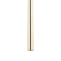 6029_TRACER_GOLD_D.jpg
