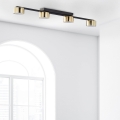 6095_DALLAS_GOLD_B.jpg