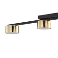 6095_DALLAS_GOLD_D.jpg