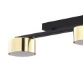 6091_DALLAS_GOLD_D.jpg