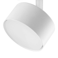4397_TRACER_WHITE_D.jpg