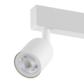 1024_TOP_WHITE_D.jpg
