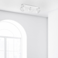 3396_CLARK_WHITE_B.jpg
