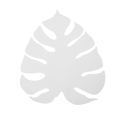 1354_MONSTERA_A.jpg