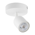 3299_TOP_WHITE_A.jpg