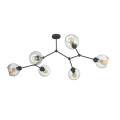 2731_FAIRY_A.jpg