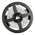 ekz0447$i.png