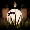 eko0459$c.png