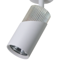 ml0287$b.png