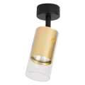 ml0689$g.png