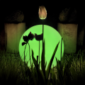 eko1367$d.png