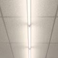 ek1908$b.png