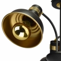 mlp6211$e.jpg