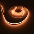 ekpl995$c.jpg
